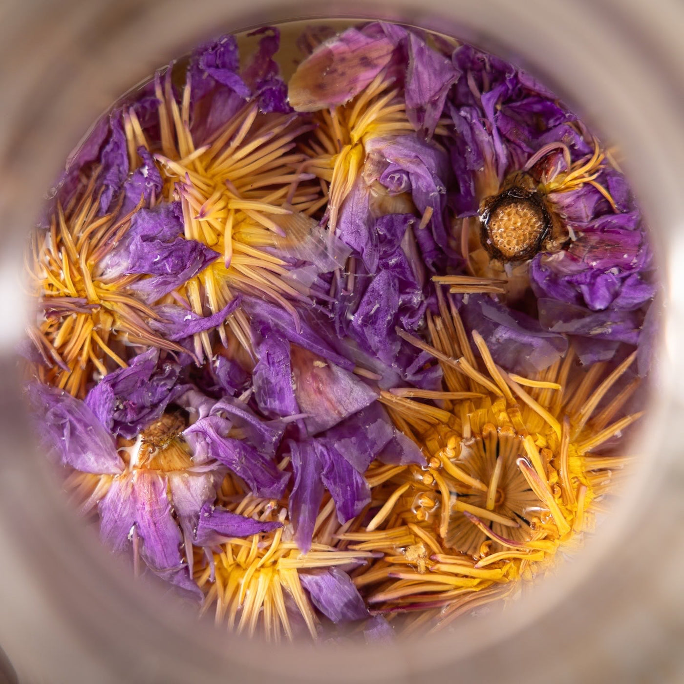 Customer enjoying Blue Lotus tea